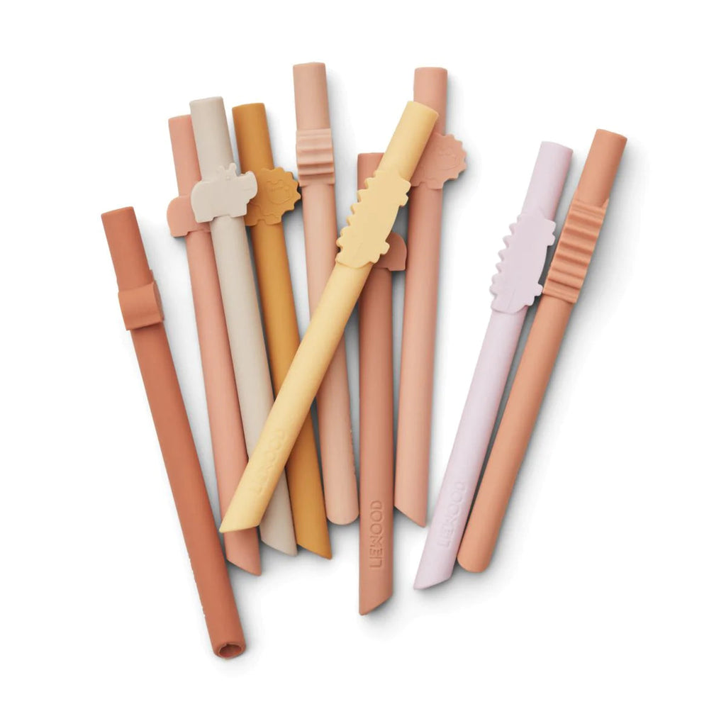 Badu straws set of 10 (various colors) - Straw