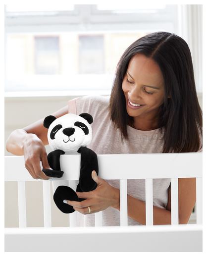 Huil-actieve fopspeen - Panda - activity toy