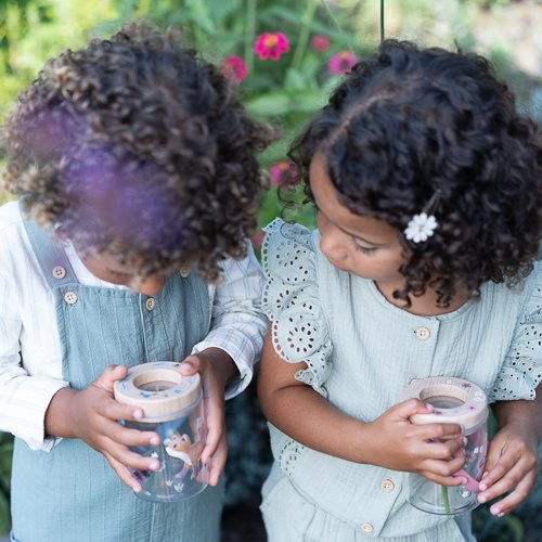 Pot d'insectes - Rose - Fairy Garden