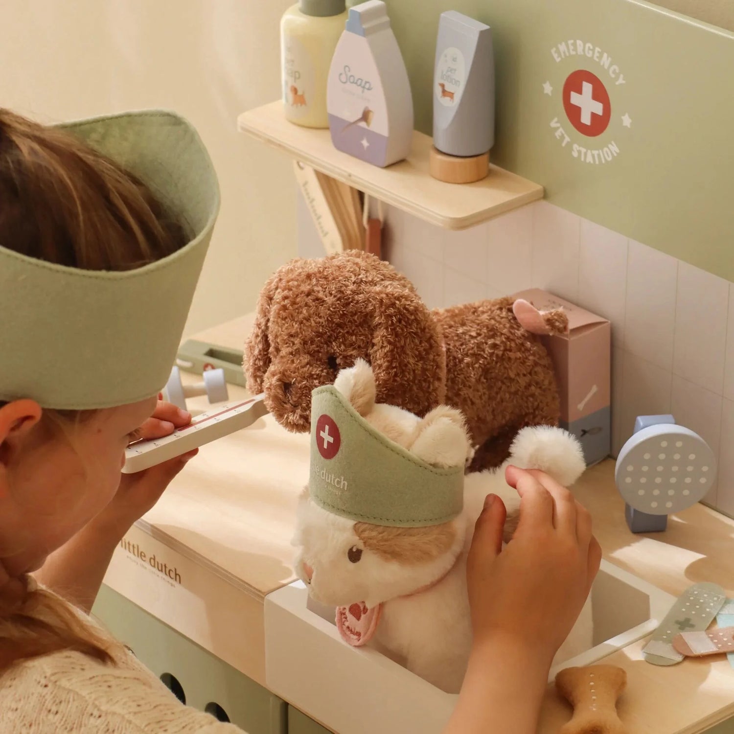 Clinique vétérinaire en bois – Vert