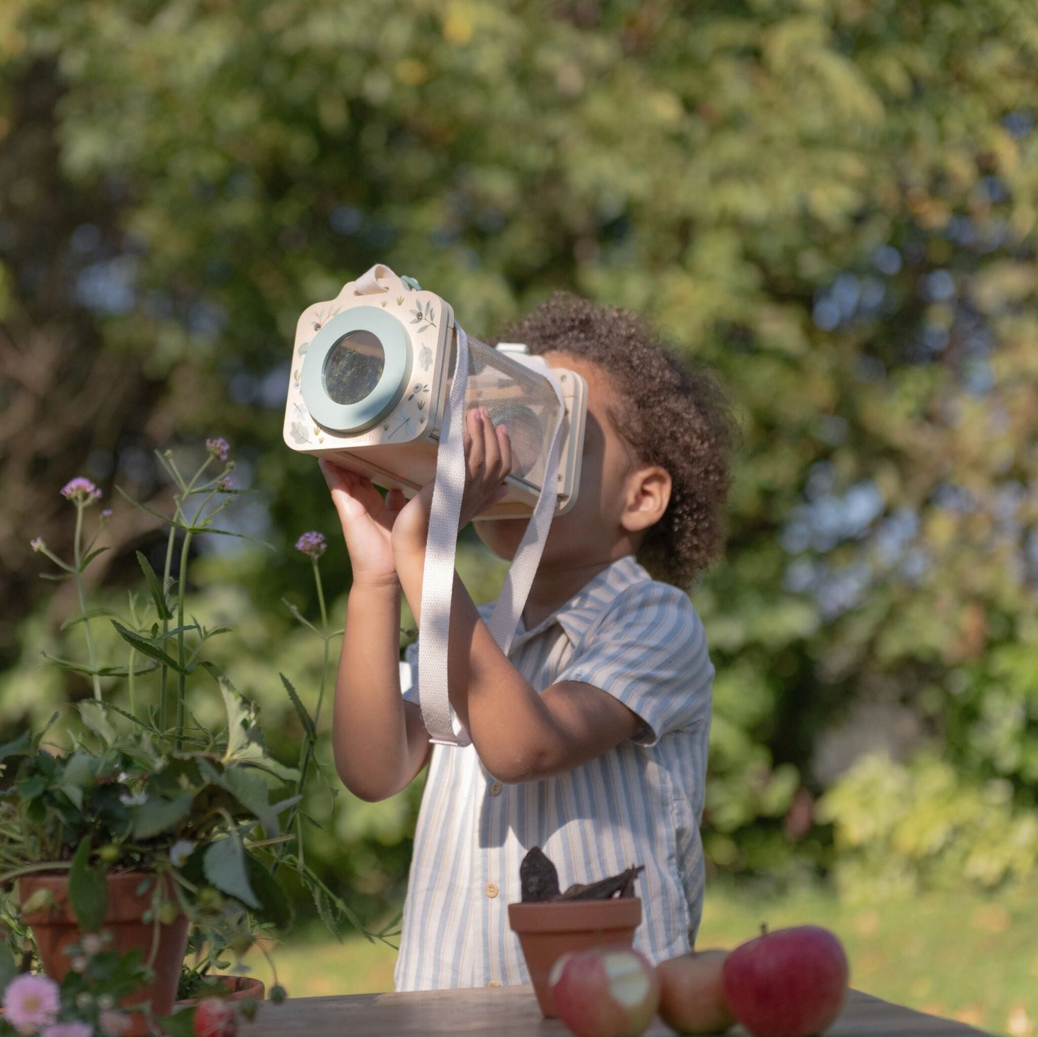 Insektenbox – Grün
