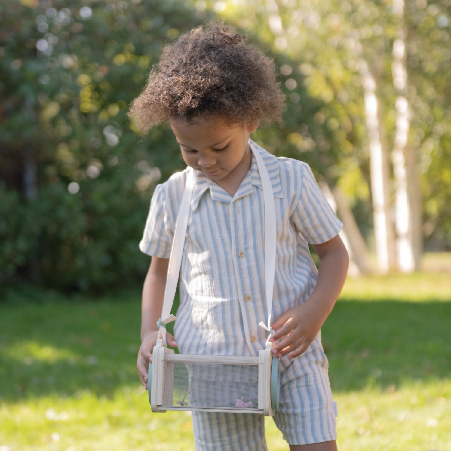 Insektenbox – Grün