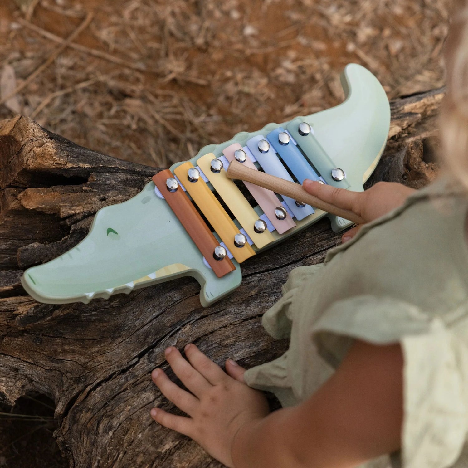 Xylophone -Crocodile- Safari Friends