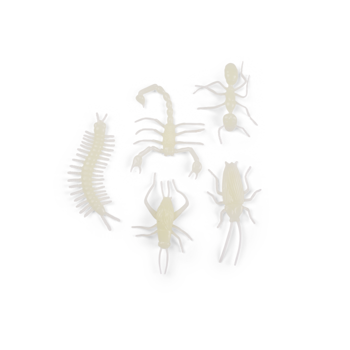 5 insectes phosphorescents - Jouet