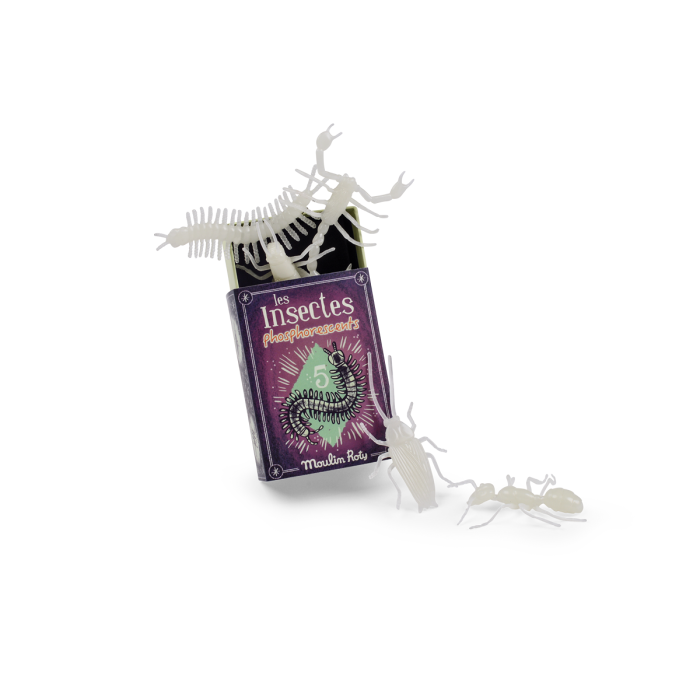 5 insectes phosphorescents - Jouet