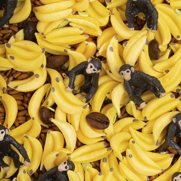 Bouteille de son - Monkey