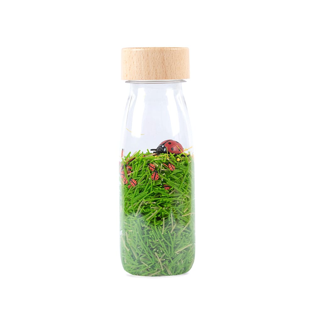 Bouteille de son - Ladybirds