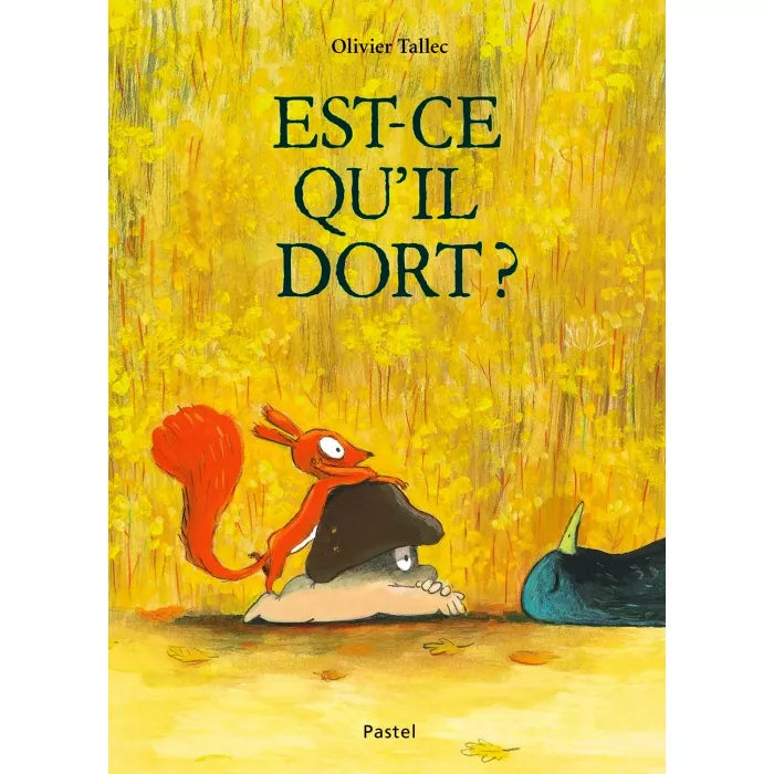 Livre - Est-ce qu'il dort ?