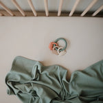 Anneau de dentition Dino - Toys