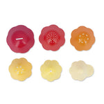 Jouet de Bain Bernard & Sa Coquille - Jouet