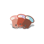 Kidyslide – Taschenlampe mit Geschichten – Zubehör Baden