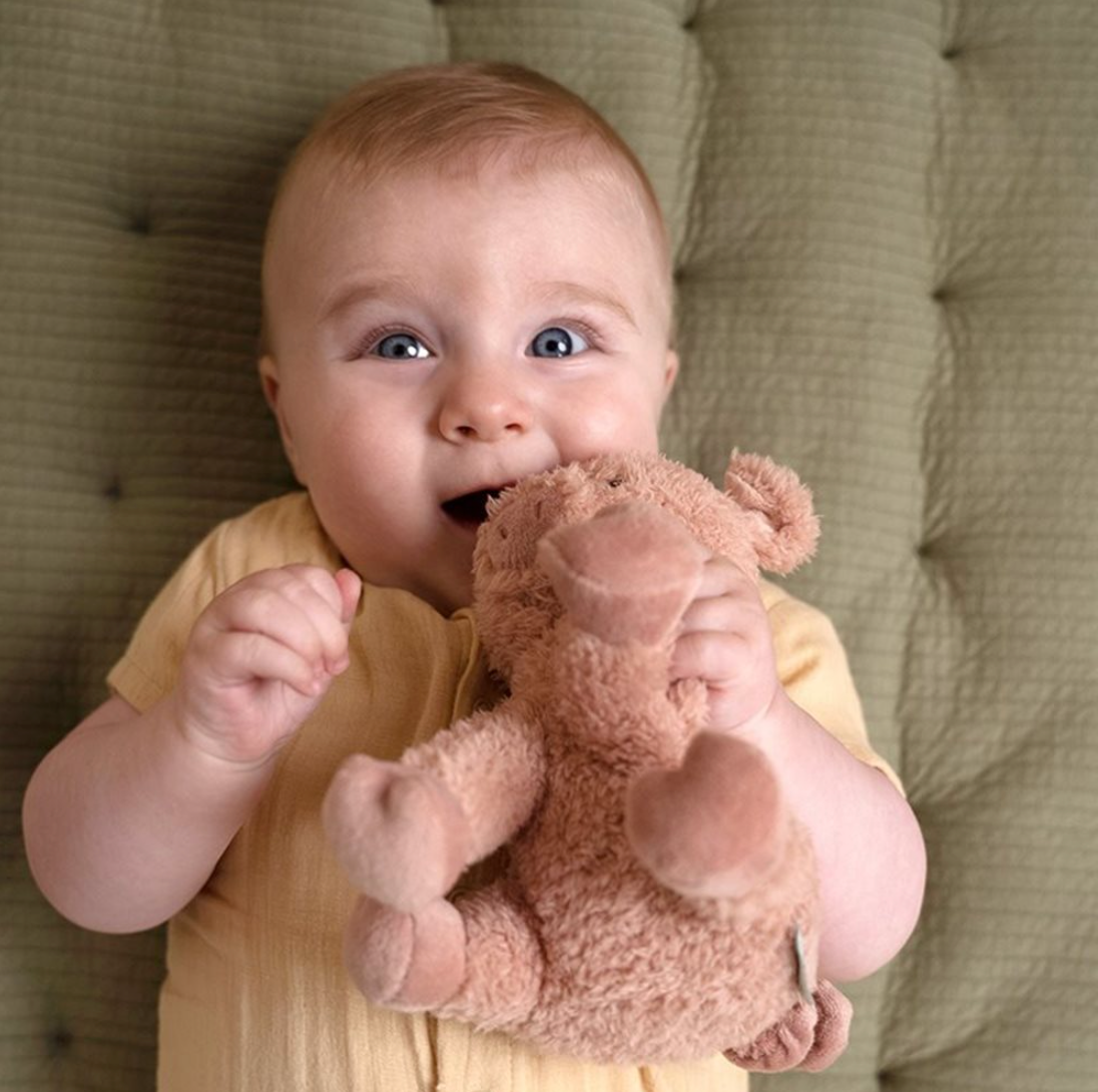 Peluche Cochon 17cm Little Farm - peluche