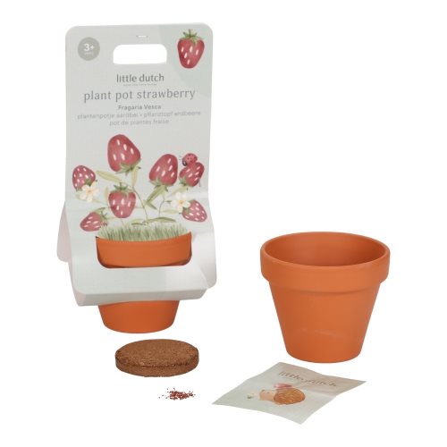 Plant de plante - Fraise - Forest Friends - Toys
