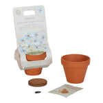 Plant de plante - myosotis - Forest Friends - Toys