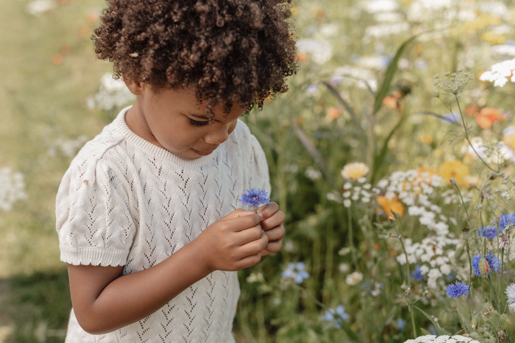 Strickpullover mit kurzen Ärmeln Creme (Größen 74-104) - Bluse