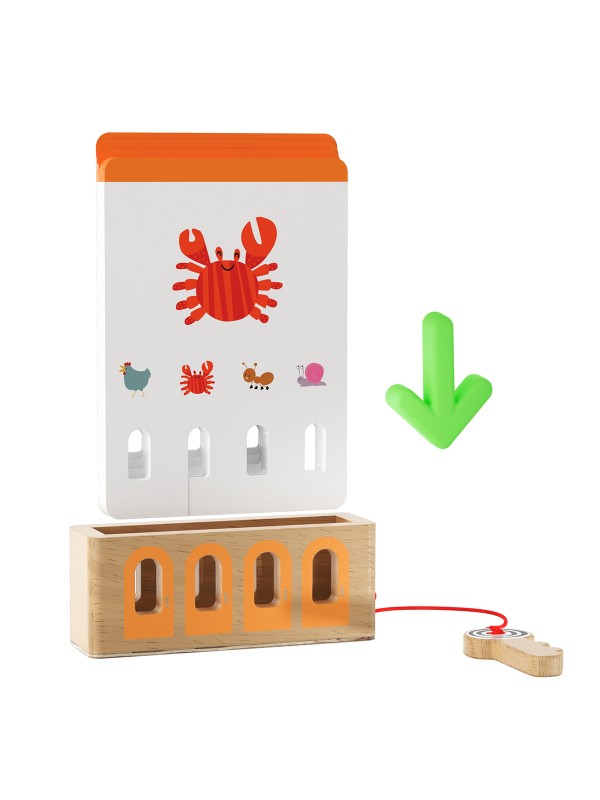 Jeu de clé logique - Beginner