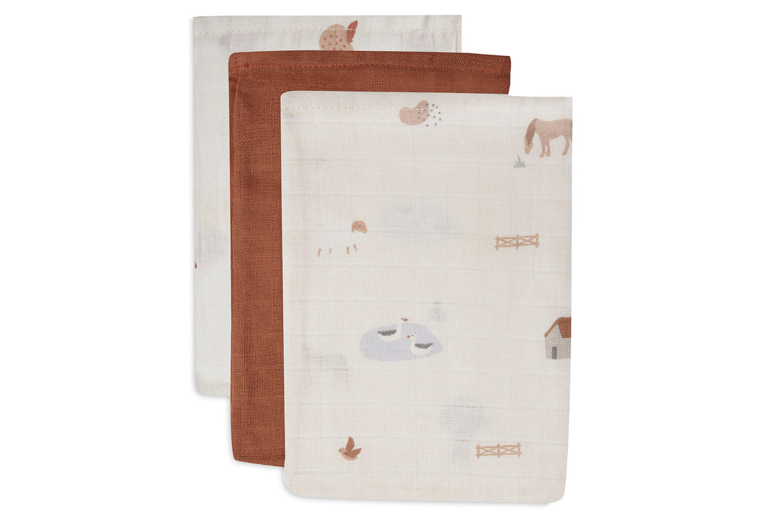 Set de 3 gants de toilette - (divers coloris) - farm - Soin